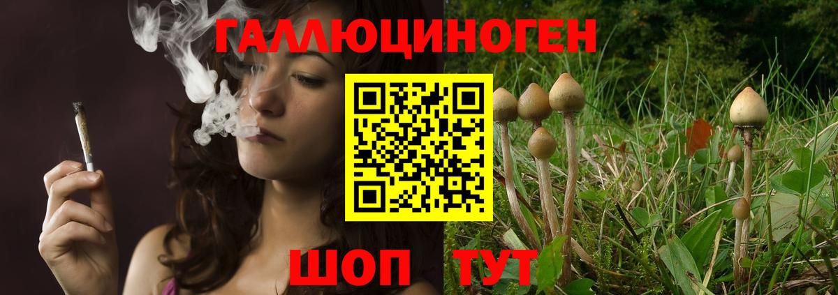 Галлюциногенные грибы мухоморы Новотроицк