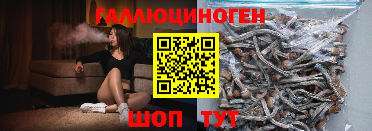 Новотроицк  Псилоцибиновые грибы Psilocybe  магазин продажи   Вход с VPN 